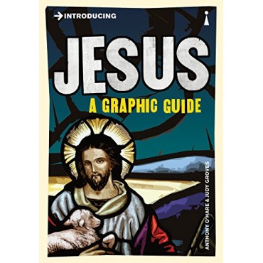 Introducing Jesus: A Graphic Guide (Introducing...) 